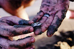 Photo courtesy of cellar_door_films