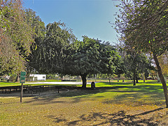 Photo courtesy Lynn Kelley Author via Flickr, WANA Commons