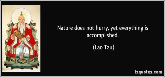 quote-nature-does-not-hurry-yet-everything-is-accomplished-lao-tzu-188495